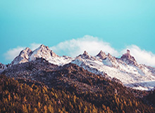 u8官方在线-中国女足主帅：首场比赛预想到不好踢 球队会表现越来越好